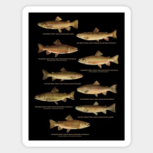 Trout Fishes of Pennsylvania Magnet